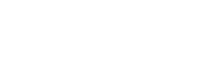 Virtual Aide Solutions - Your Virtual Partner